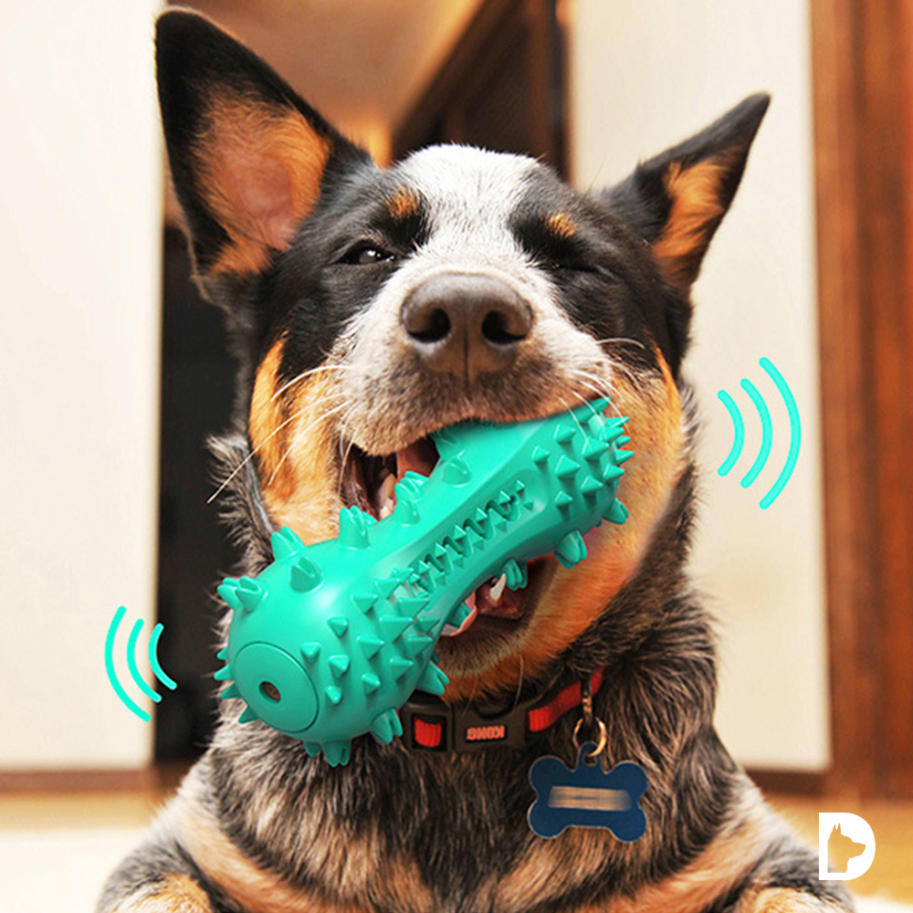 Smart Squeaky de Mastication