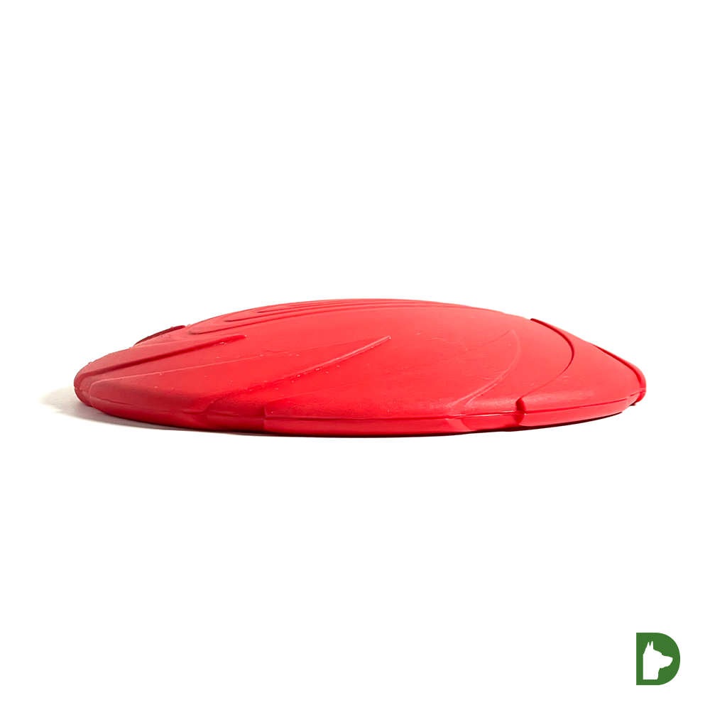 Smart Frisbee