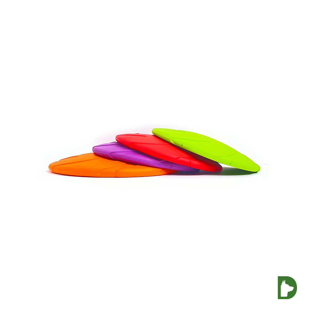 Smart Frisbee