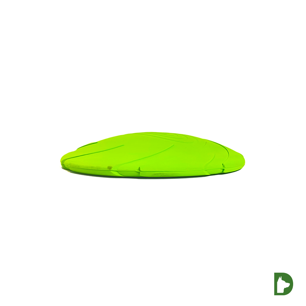 Smart Frisbee