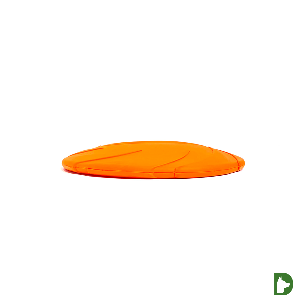 Smart Frisbee