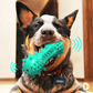 Smart Squeaky de Mastication